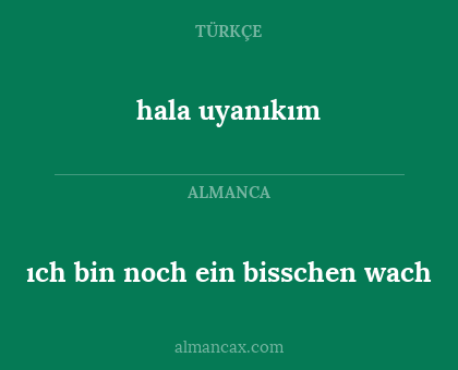 ıch bin noch ein bisschen wach - hala uyanıkım