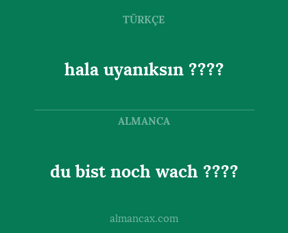 du bist noch wach ???? - hala uyanıksın ????
