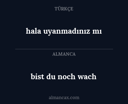 bist du noch wach - hala uyanmadınız mı