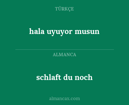 hala uyuyor musun - schlaft du noch