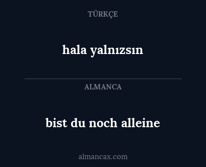 bist du noch alleine - hala yalnızsın