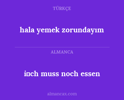 hala yemek zorundayım - i̇ch muss noch essen