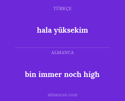 bin immer noch high - hala yüksekim