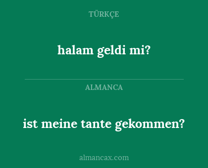 ist meine tante gekommen? - halam geldi mi?