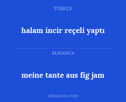 meine tante aus fig jam - halam incir reçeli yaptı