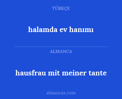 halamda ev hanımı - hausfrau mit meiner tante