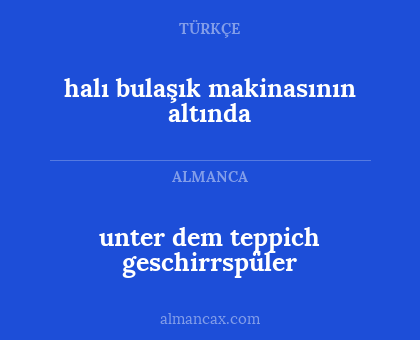 halı bulaşık makinasının altında - unter dem teppich geschirrspüler