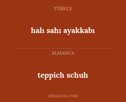 teppich schuh - halı sahı ayakkabı
