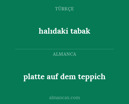 halıdaki tabak - platte auf dem teppich