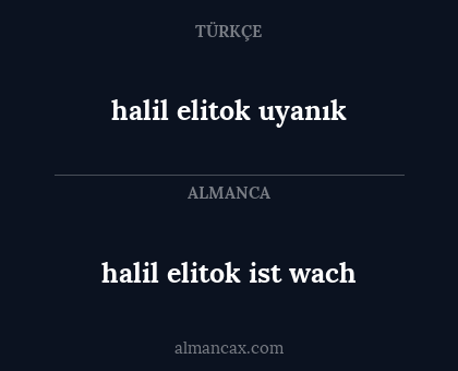 halil elitok ist wach - halil elitok uyanık