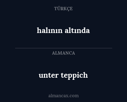 unter teppich - halının altında