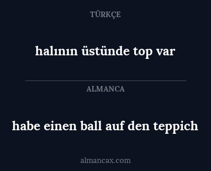 habe einen ball auf den teppich - halının üstünde top var