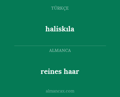 reines haar - haliskıla