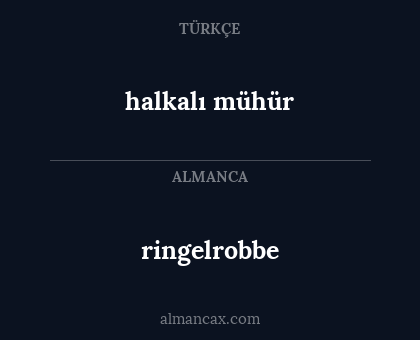 halkalı mühür - ringelrobbe