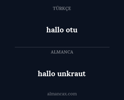 hallo otu - hallo unkraut