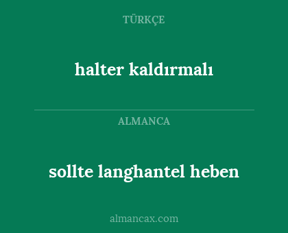 sollte langhantel heben - halter kaldırmalı