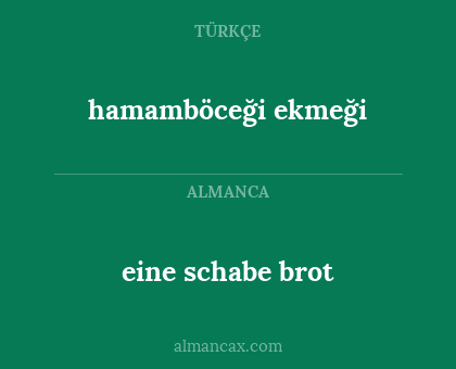 hamamböceği ekmeği - eine schabe brot