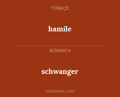 schwanger - hamile