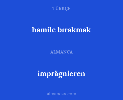 imprägnieren - hamile bırakmak