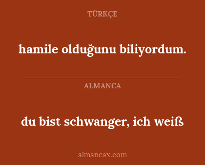 du bist schwanger, ich weiß - hamile olduğunu biliyordum.