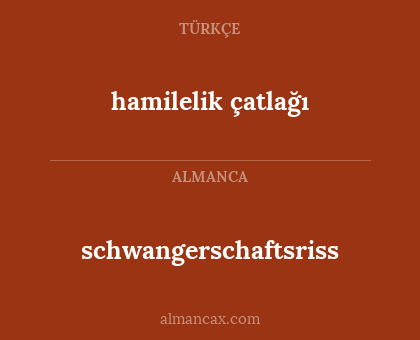 schwangerschaftsriss - hamilelik çatlağı