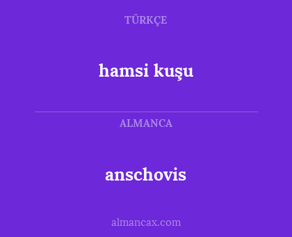 anschovis - hamsi kuşu