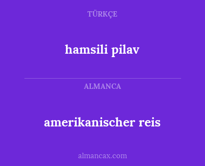 amerikanischer reis - hamsili pilav