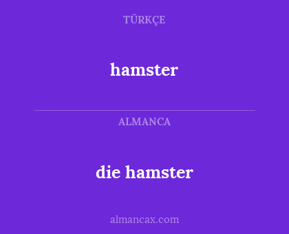 die hamster - hamster