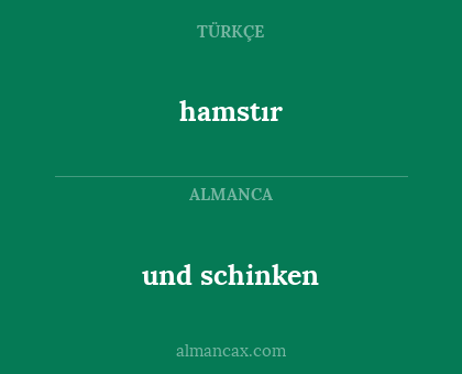 und schinken - hamstır
