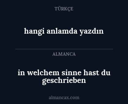 in welchem sinne hast du geschrieben - hangi anlamda yazdın