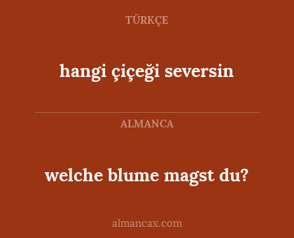 hangi çiçeği seversin - welche blume magst du?