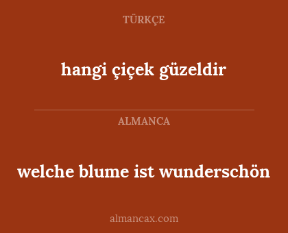 welche blume ist wunderschön - hangi çiçek güzeldir