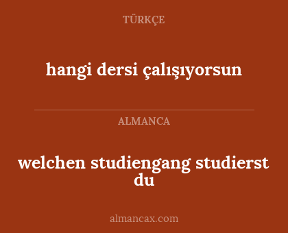 welchen studiengang studierst du - hangi dersi çalışıyorsun