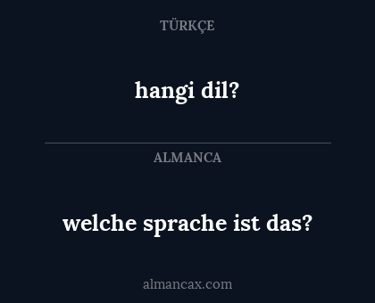 welche sprache ist das? - hangi dil?