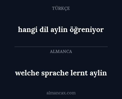 hangi dil aylin öğreniyor - welche sprache lernt aylin