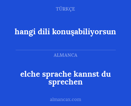 elche sprache kannst du sprechen - hangi dili konuşabiliyorsun