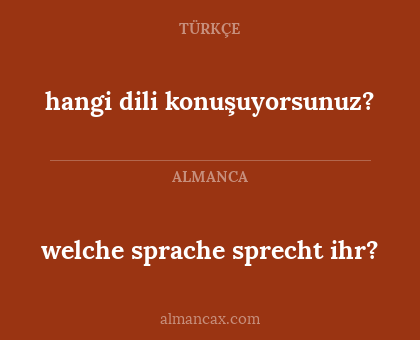 welche sprache sprecht ihr? - hangi dili konuşuyorsunuz?
