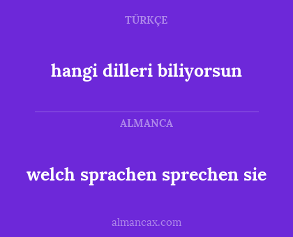 welch sprachen sprechen sie - hangi dilleri biliyorsun