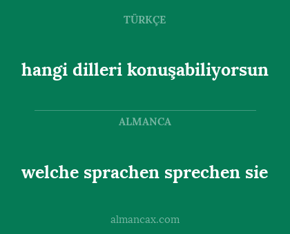 welche sprachen sprechen sie - hangi dilleri konuşabiliyorsun