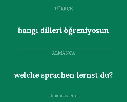 welche sprachen lernst du? - hangi dilleri öğreniyosun