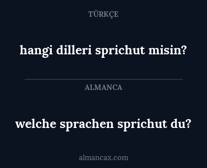 welche sprachen sprichut du? - hangi dilleri sprichut misin?