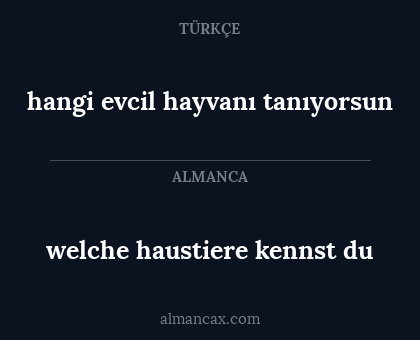 hangi evcil hayvanı tanıyorsun - welche haustiere kennst du