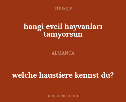 welche haustiere kennst du? - hangi evcil hayvanları tanıyorsun