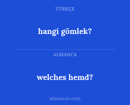 hangi gömlek? - welches hemd?