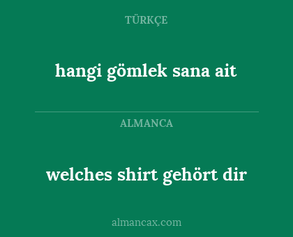 welches shirt gehört dir - hangi gömlek sana ait