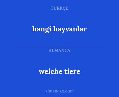 hangi hayvanlar - welche tiere