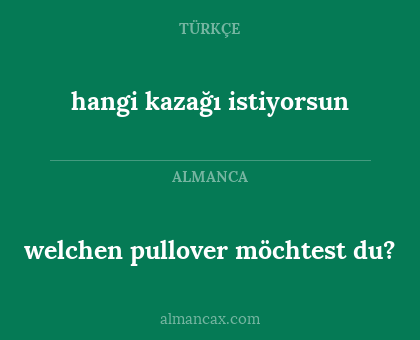 welchen pullover möchtest du? - hangi kazağı istiyorsun