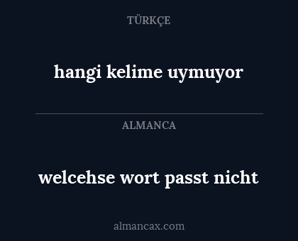 welcehse wort passt nicht - hangi kelime uymuyor