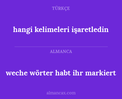 weche wörter habt ihr markiert - hangi kelimeleri işaretledin