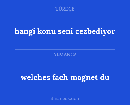 hangi konu seni cezbediyor - welches fach magnet du